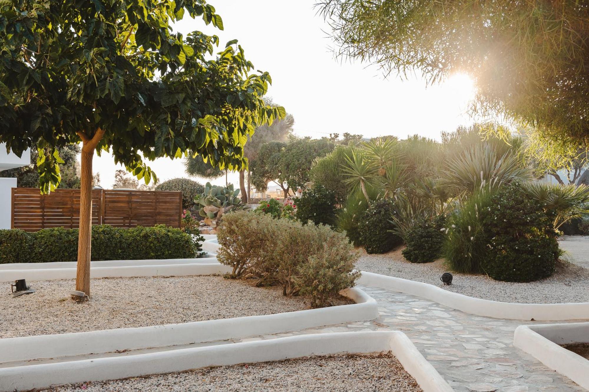 Almiriki Naxos Beachside Living Apartment